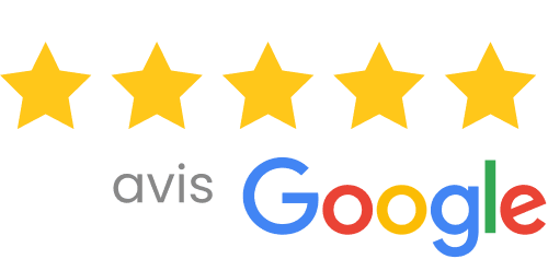 Avis Google